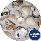 8099-P1 - Beach Mix Shells - Value Pack
